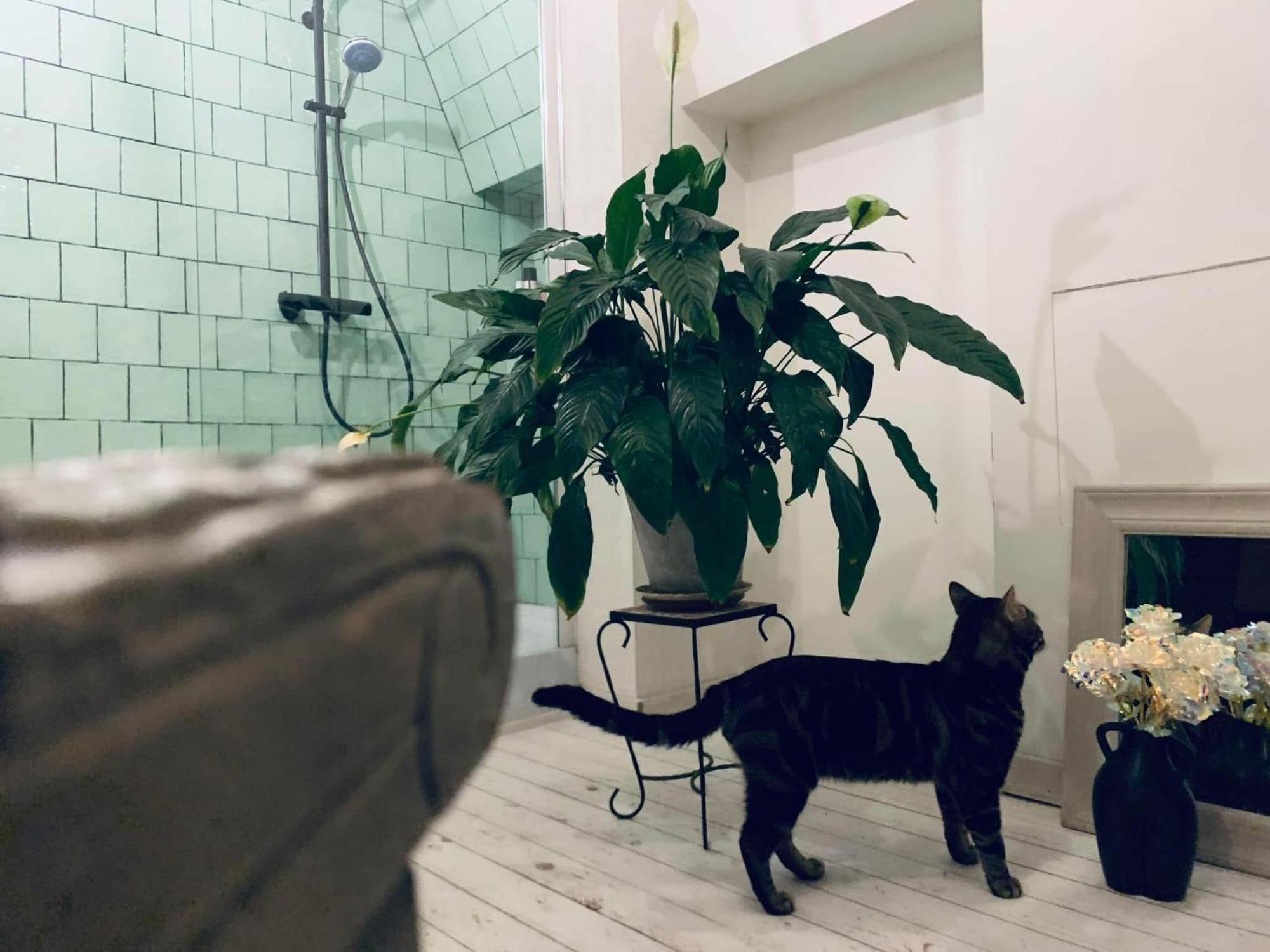 Mystic'S Lodge Antwerpia Zewnętrze zdjęcie